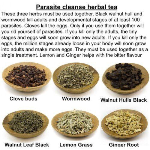 Parasite cleanse